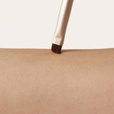 Eye/Brow Brush Ⓥ