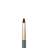Lip Brush Ⓥ